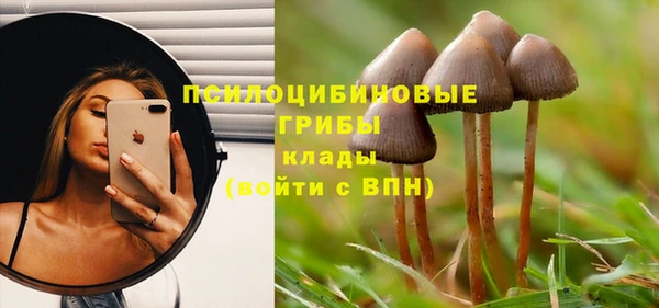 2c-b Белокуриха