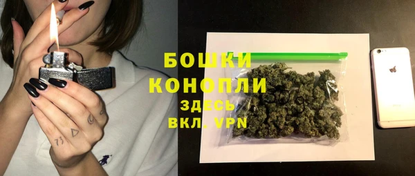 2c-b Белокуриха