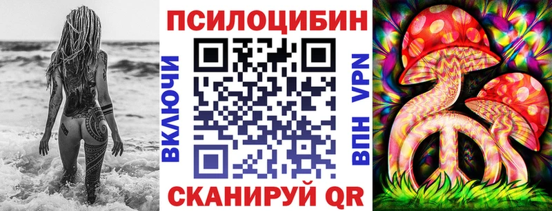 Псилоцибиновые грибы прущие грибы  Мглин 